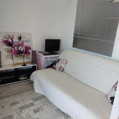 Vue Imprenable Appt 3 P Pour 4 Ou 5 Personnes Sanguinaires 300m Plages Et Merpersonnes アジャクシオ